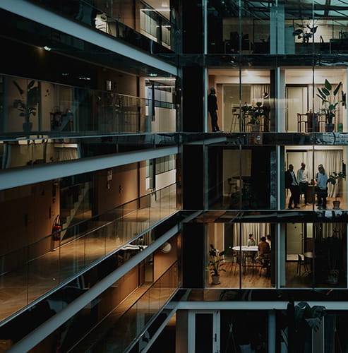 Litigation report 2025